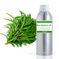 Factory supply 100% Pure Eucalyptus globulus essential oil